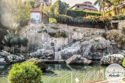 175722524_289271062830767_6865246254364573780_n - Directory of Churches in Lebanon