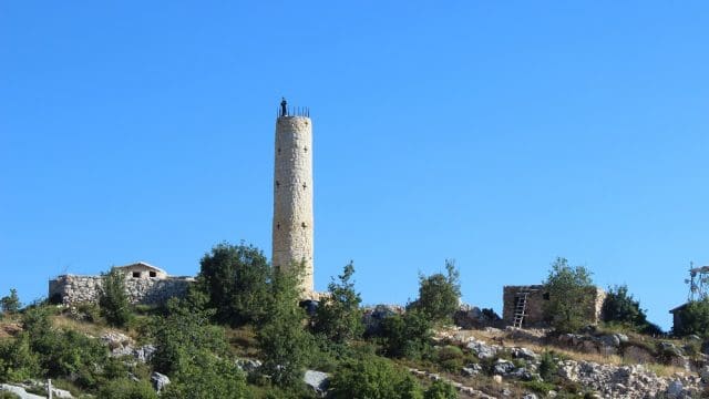 Nehemtallah-Hardine (7)