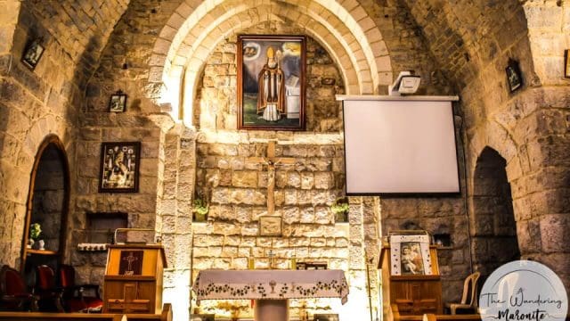Qartaba-Saint-Teddy-1