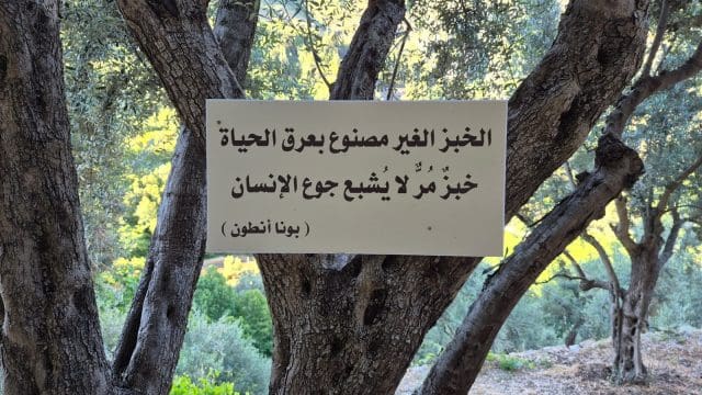 The monastery of our Lady of Qannoubin (8)