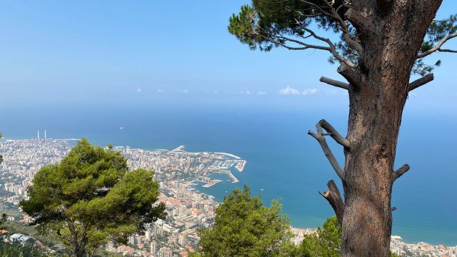 harissa-2